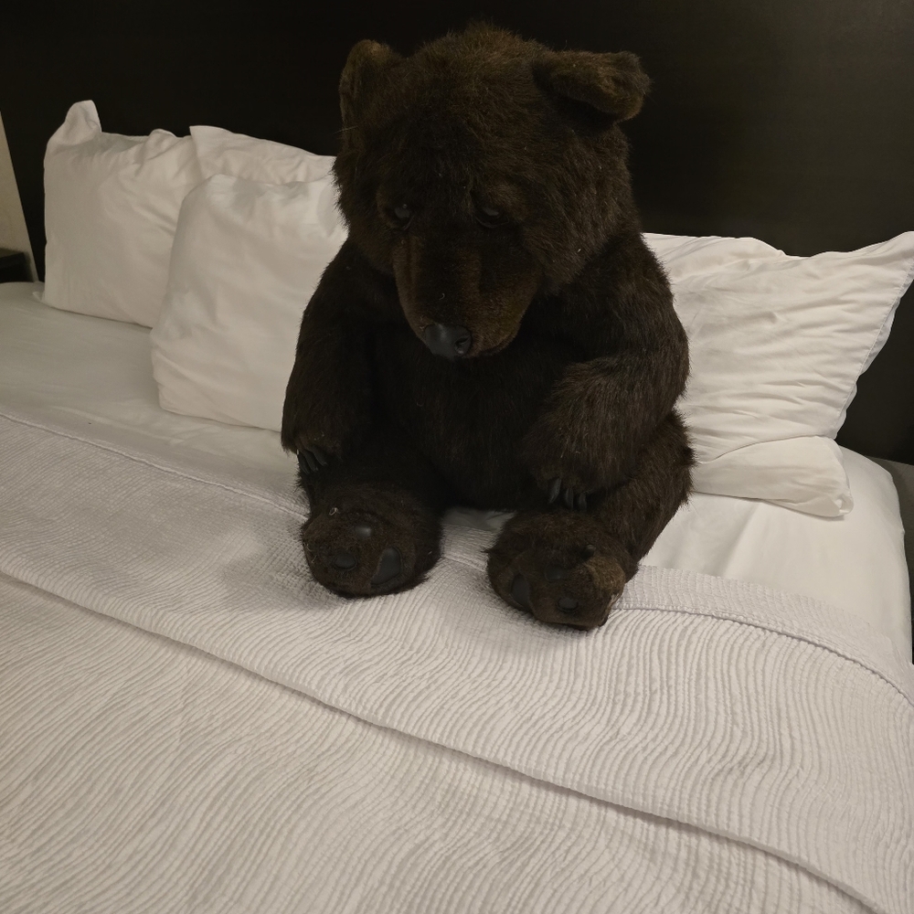 Very large realistic bear plush